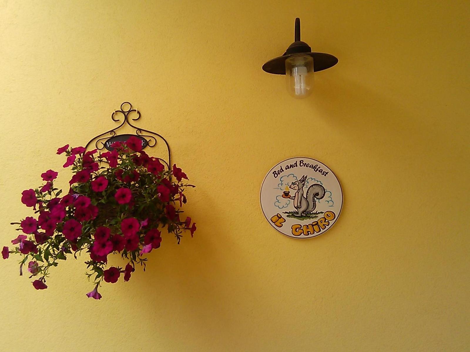 B&B Il Ghiro-Country House Mormanno Luaran gambar