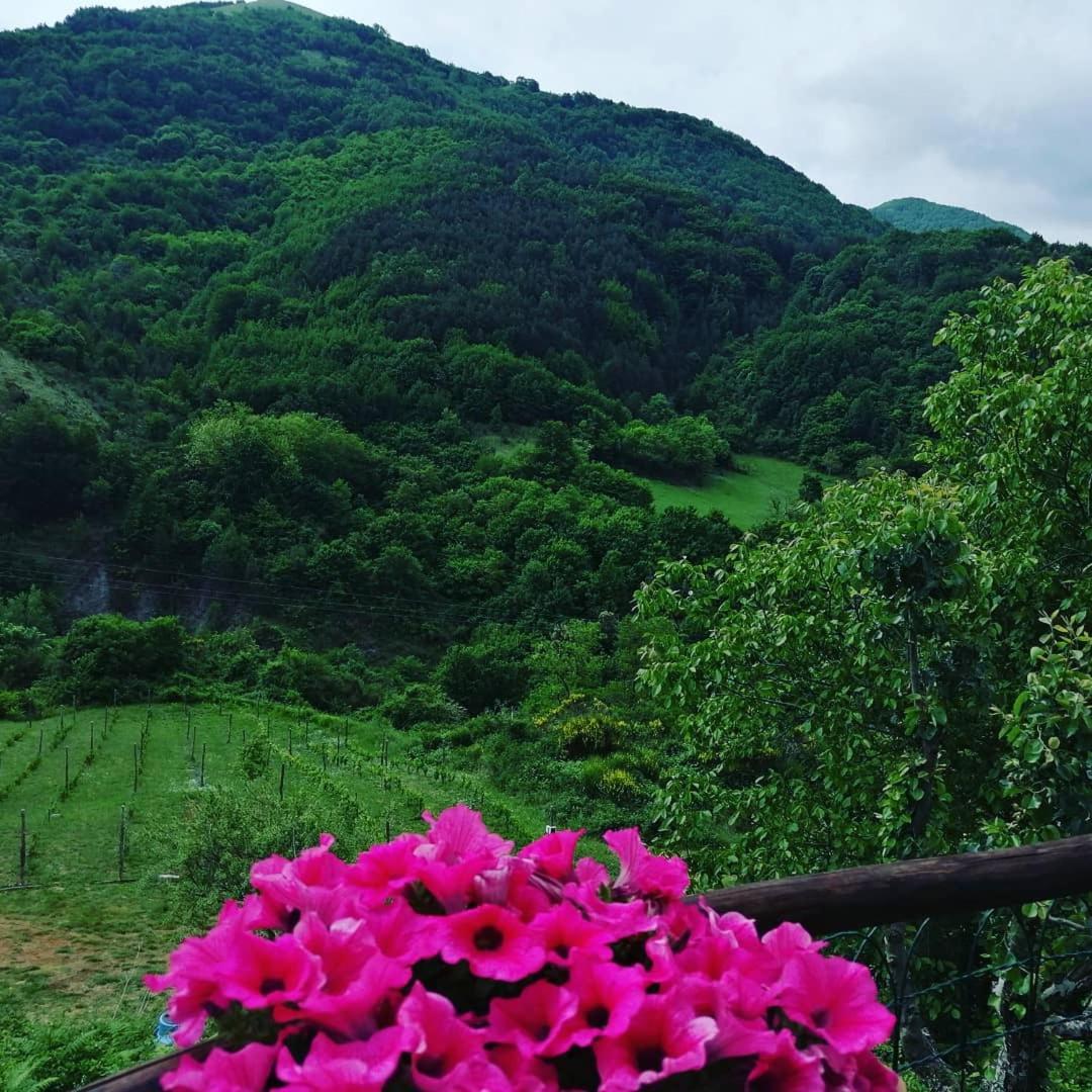 B&B Il Ghiro-Country House Mormanno Bilik gambar