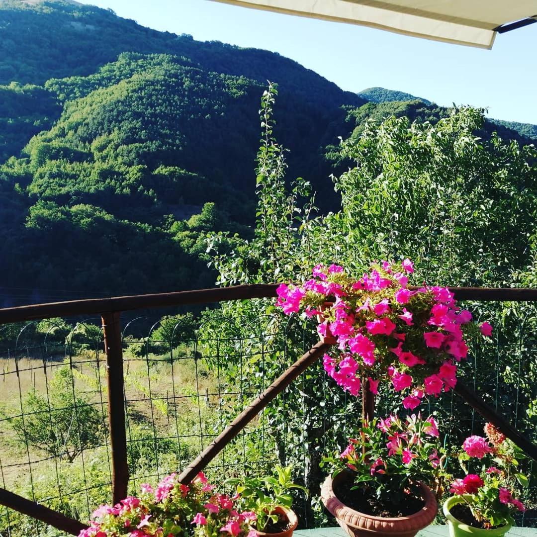 B&B Il Ghiro-Country House Mormanno Bilik gambar