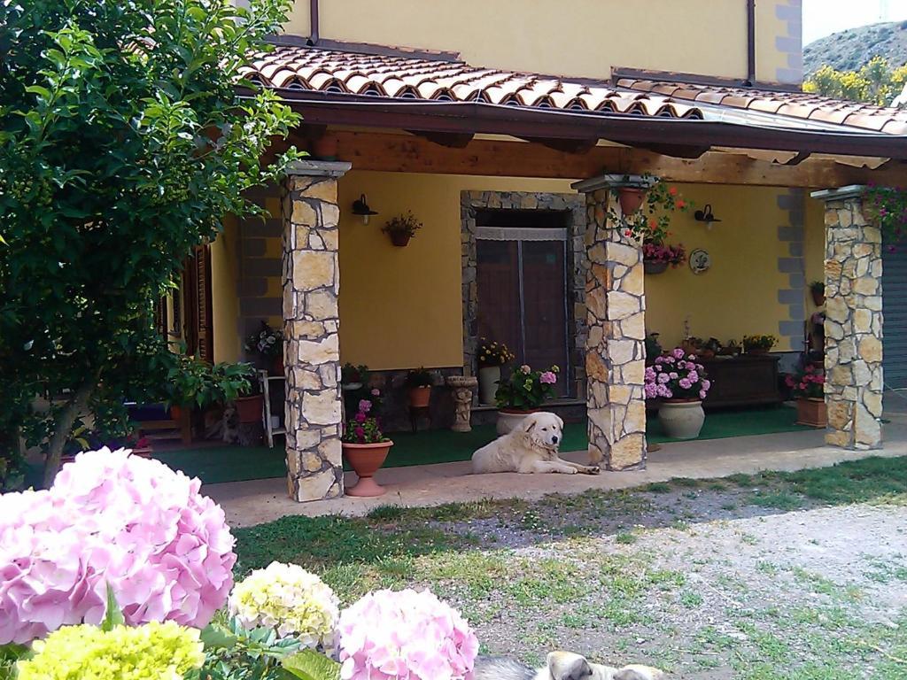 B&B Il Ghiro-Country House Mormanno Luaran gambar