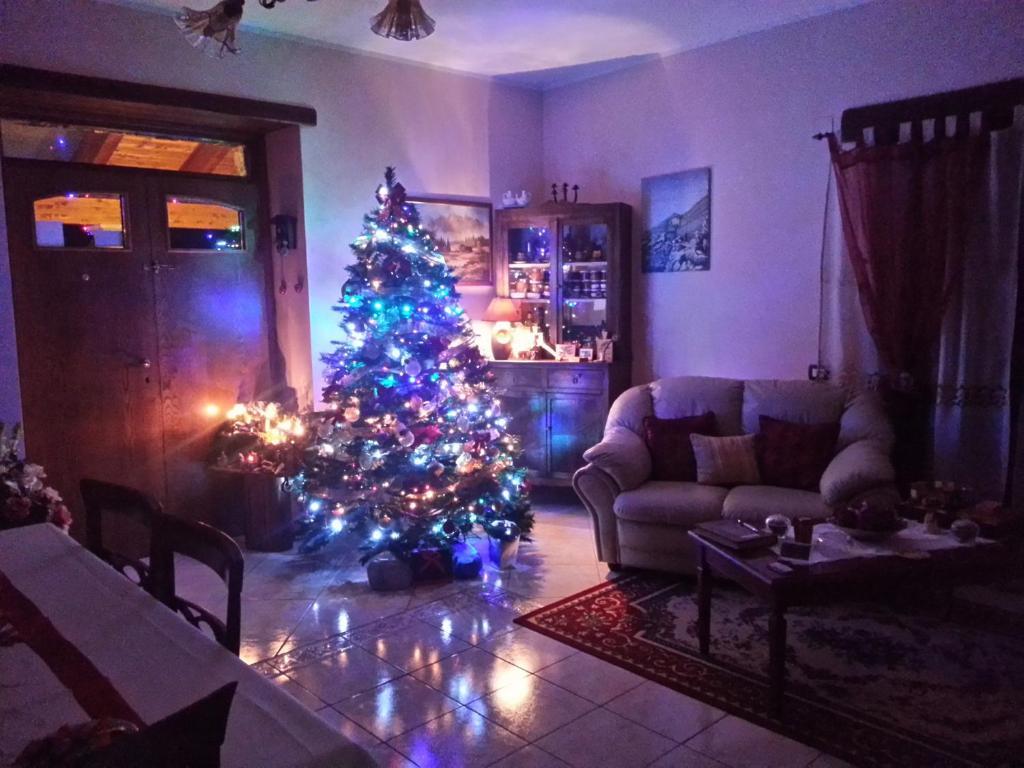 B&B Il Ghiro-Country House Mormanno Luaran gambar