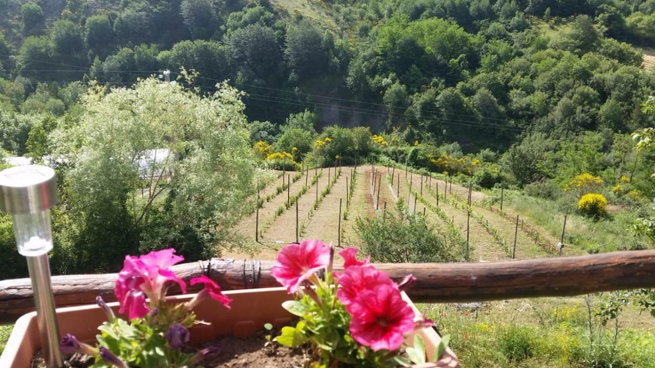 B&B Il Ghiro-Country House Mormanno Luaran gambar