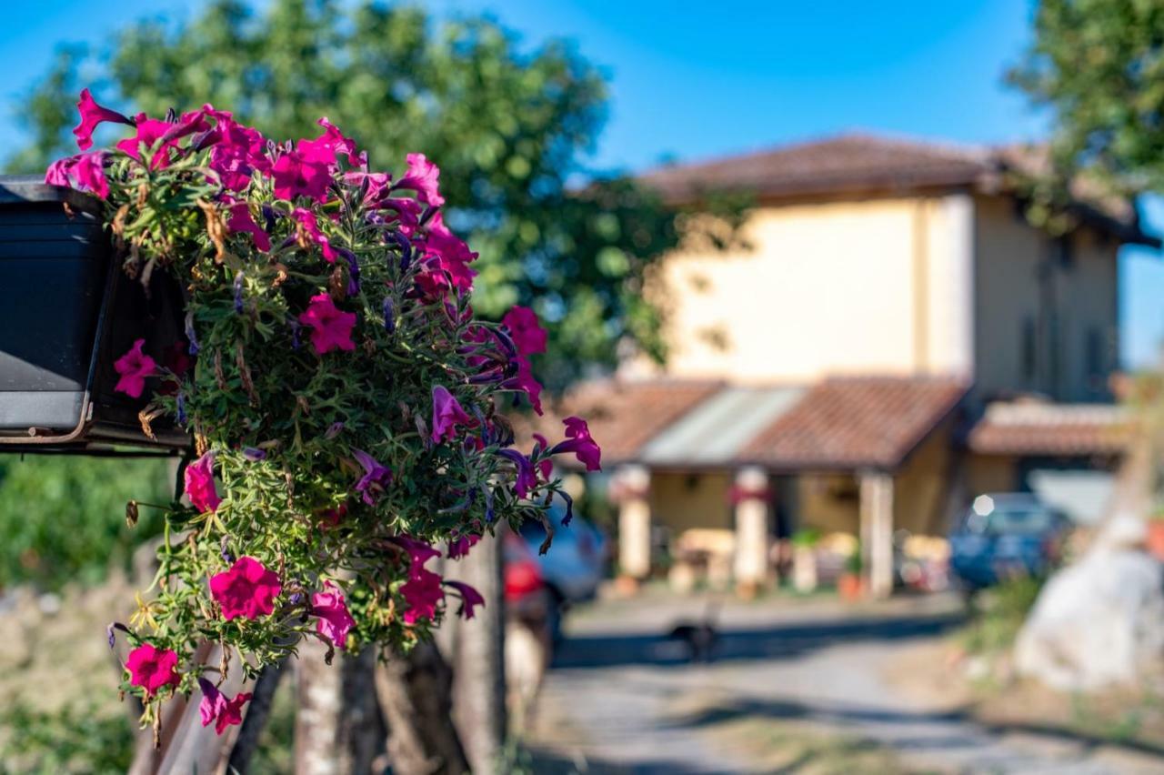 B&B Il Ghiro-Country House Mormanno Luaran gambar